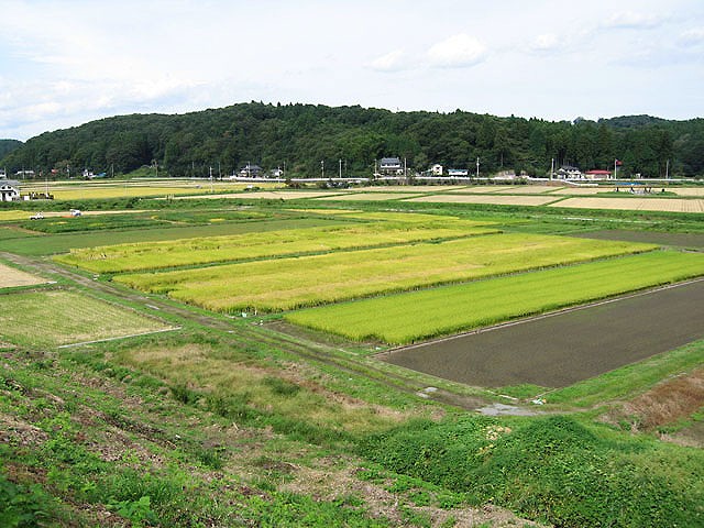 広々としています。