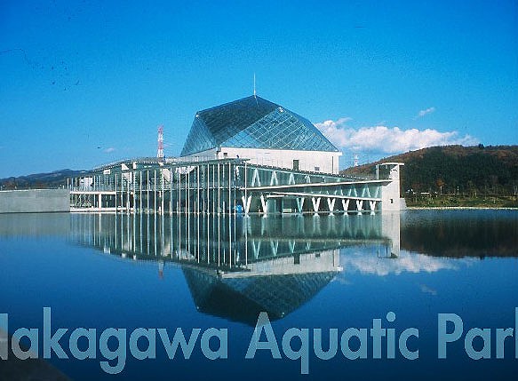 見て、触れて、体験して楽しく学べる水族館