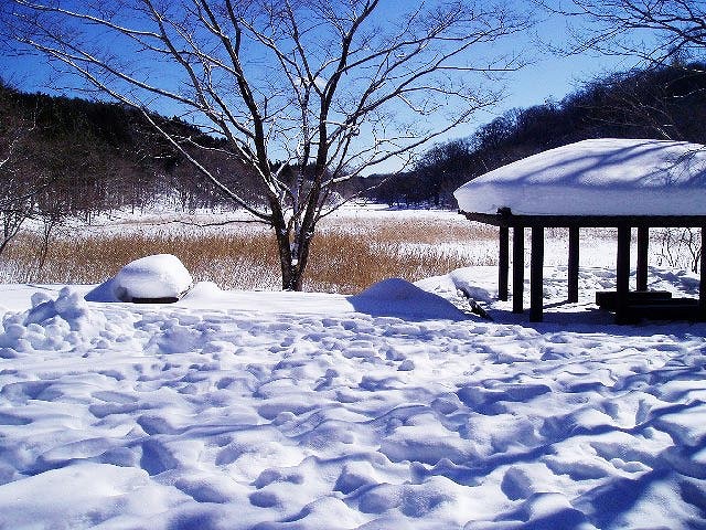 冬の大沼園地