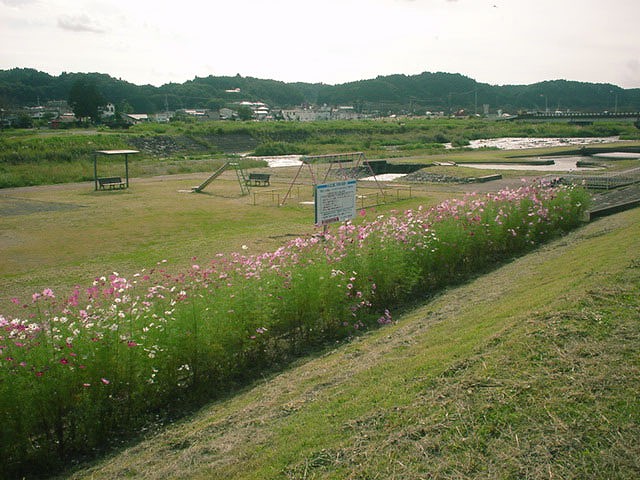 季節によって自然の花が咲き乱れる