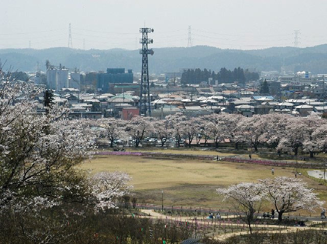 高さ49ｍの電波塔