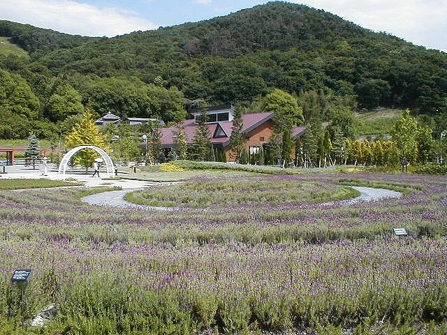 西口ゾーン。ハーブ園や薬草園等があります