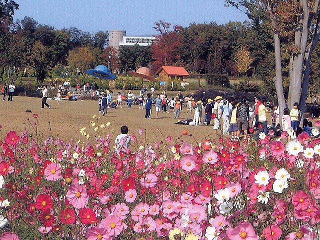 わんぱく公園は子供たちでにぎわっています