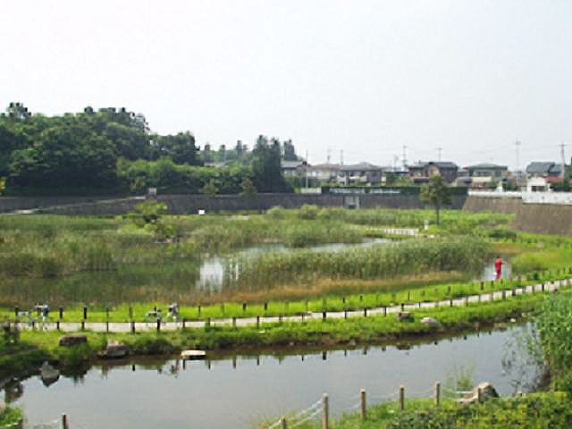 篠郷池公園全景を道路から撮影したもの