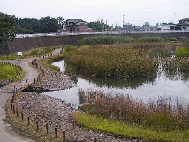 公園の東から南方向を撮影したもの