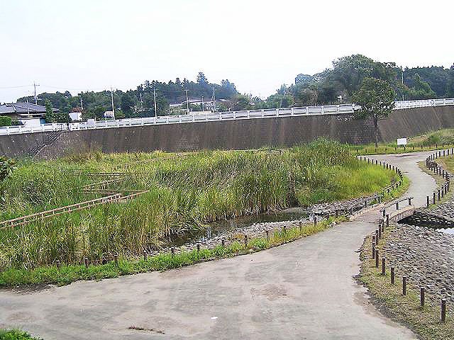 公園のほぼ中央に位置する場所