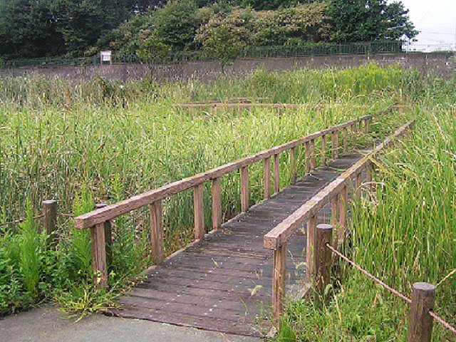 池に架かる橋