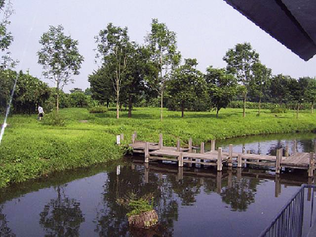入口から東に位置する池と渡り橋