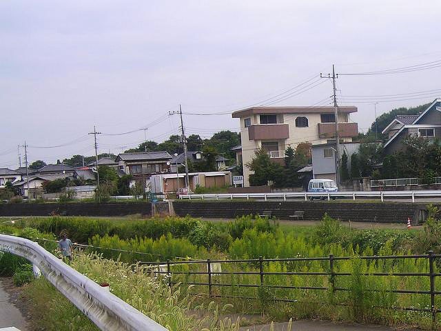 江川（船付橋）から上流右岸を望む