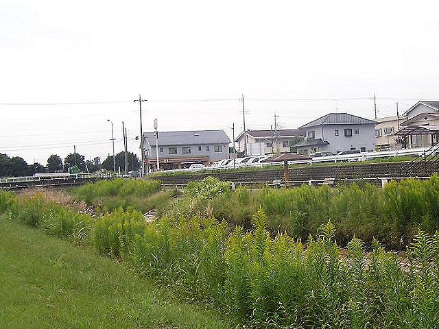 江川（船付橋）上流左岸から右岸を望む