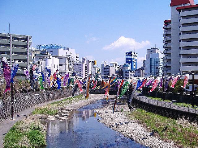 押切橋の左右岸に架かる鯉のぼり