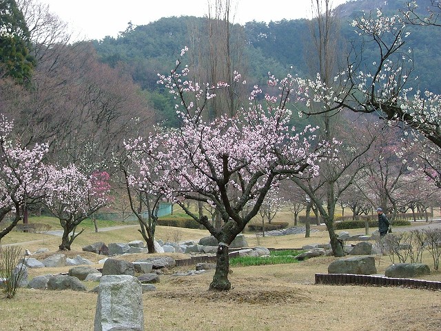 梅林公園２