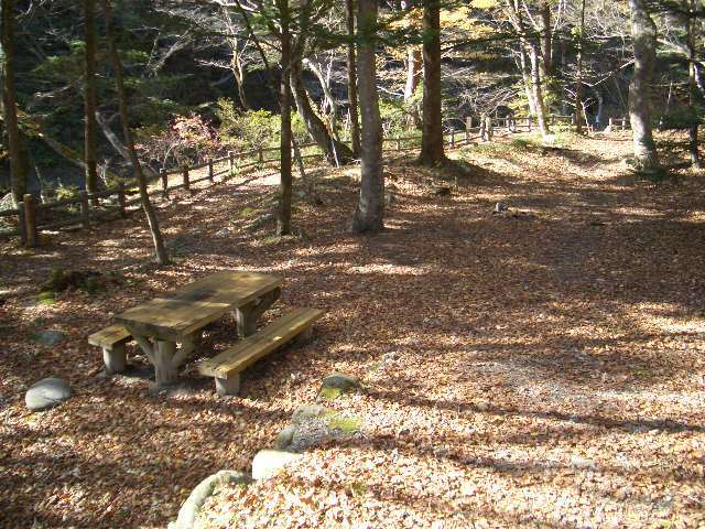 冬の木の俣園地