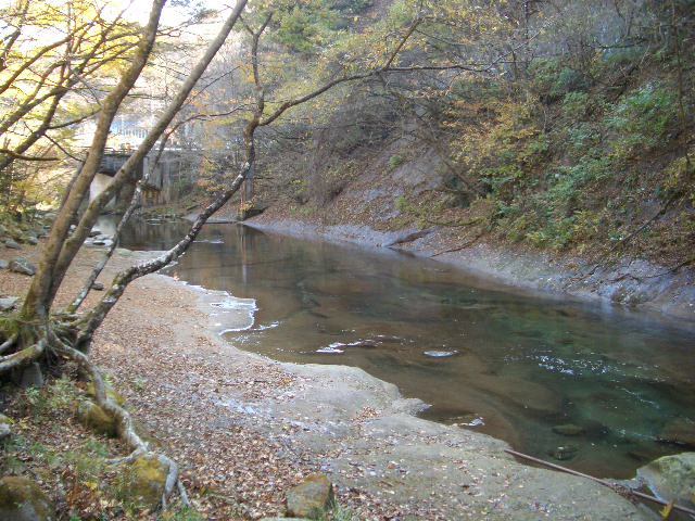 冬の木の俣川　上流→下流