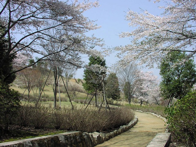 「風と緑の丘公園」