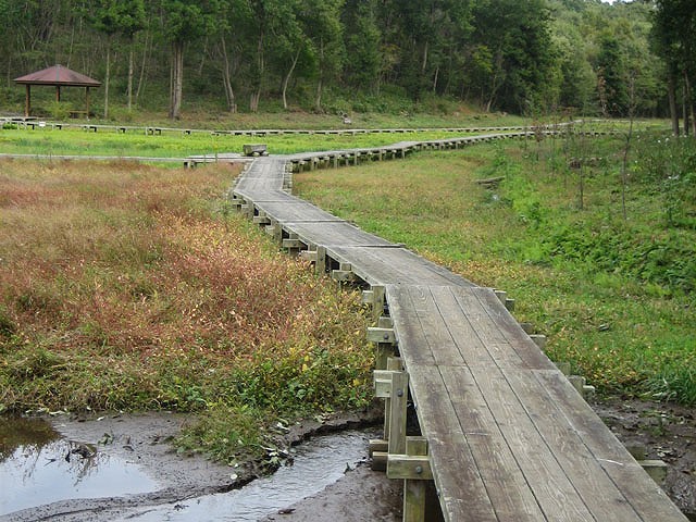 せせらぎ広場の湿地木道