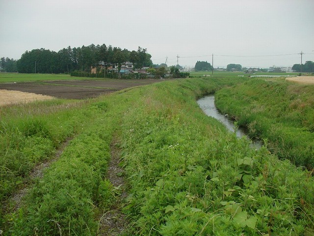 下流方向を望む