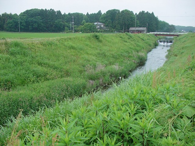 上流方向を望む