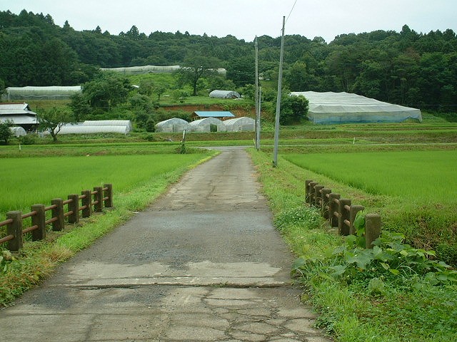 東方向を望む