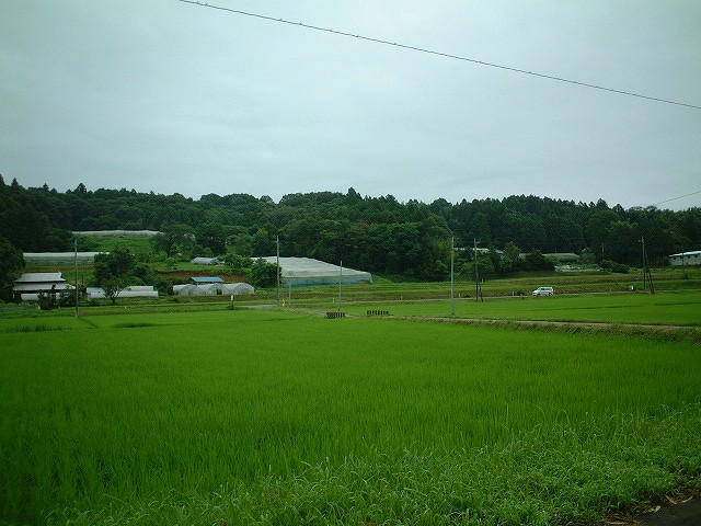 周囲は田園風景