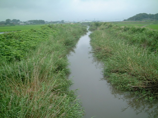 北（上流）方向を望む