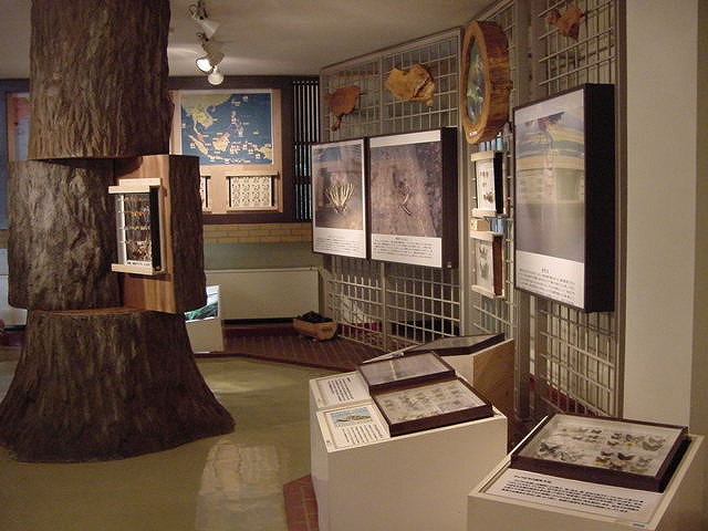 展示館内部の展示状況（独創的な意匠・工夫）