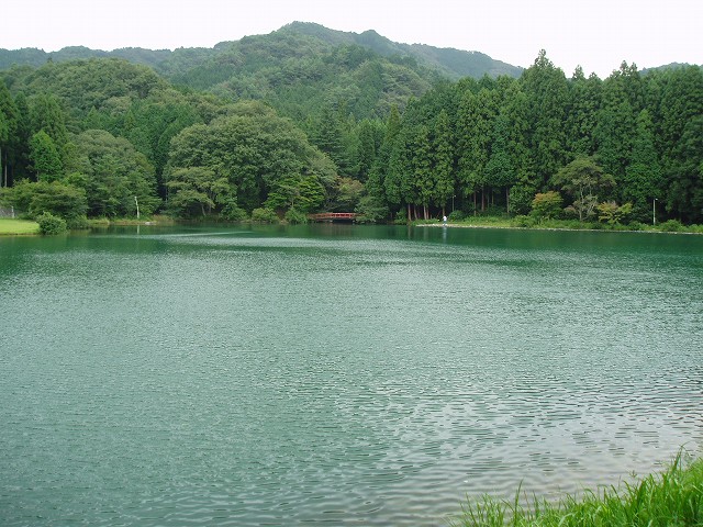 栗谷沢ダムの湖面