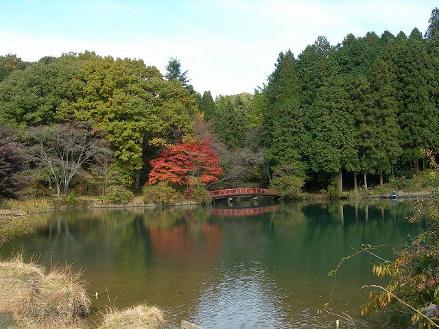 紅葉の時期には周囲が赤や黄色に色づく