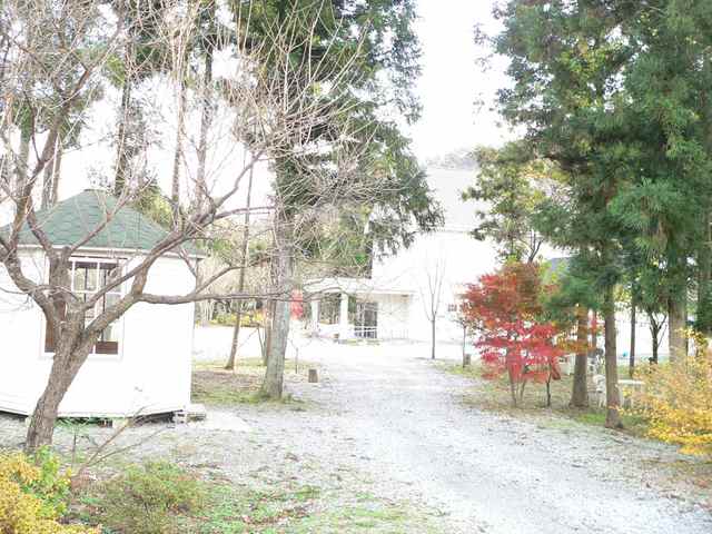 木々にとけこむ、美術館