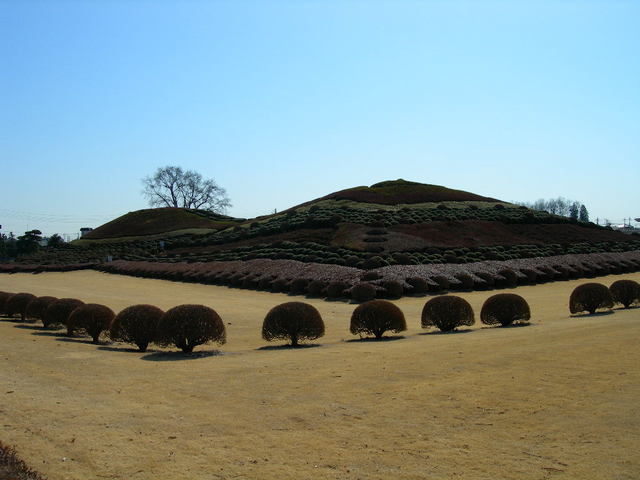 塚山古墳全景