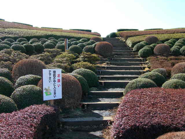 植栽は春から夏にかけて見頃