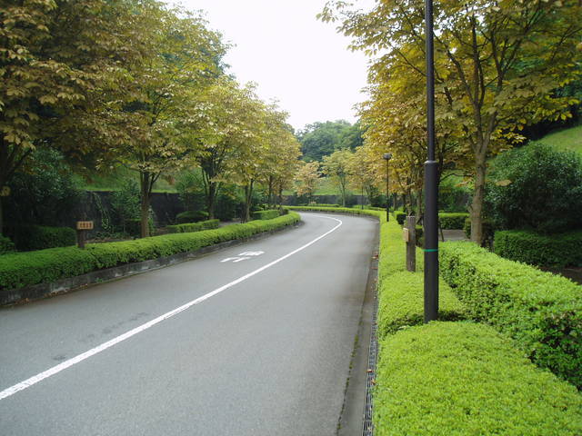 入口からの進入道路（坂道）