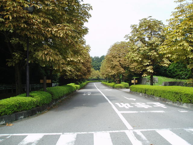 進入道路の最上部からの景観