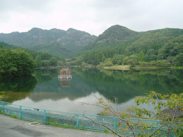 森と湖のコントラストが美しい