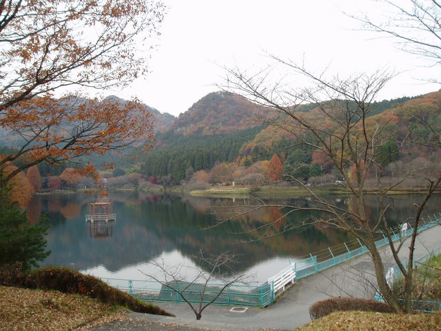 赤川ダムの紅葉