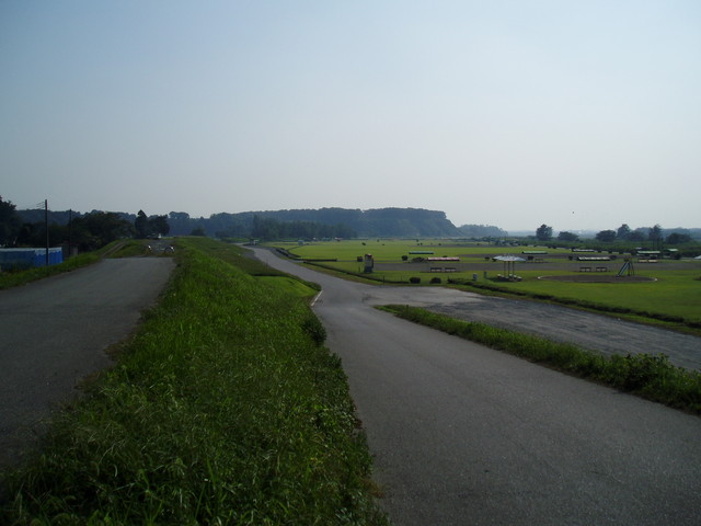 公園の堤から見た飛山城址