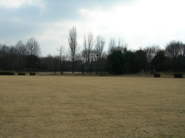 野球場から見た公園