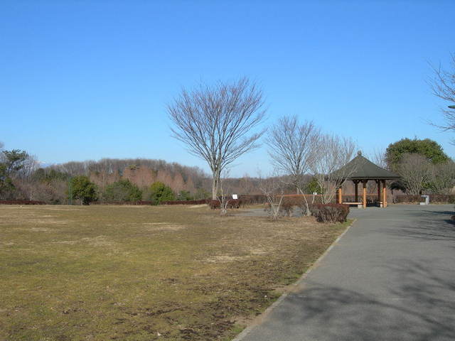 公園内の遊歩道と東屋