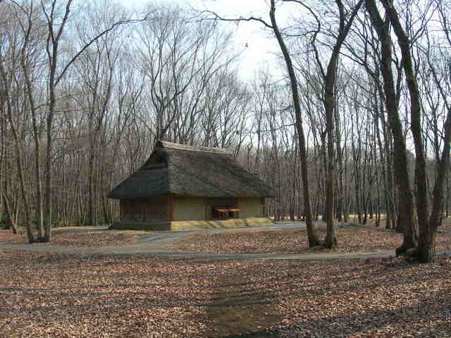 萱葺き屋根の建物