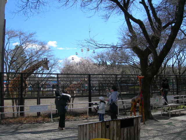 園内を楽しむ家族連れ