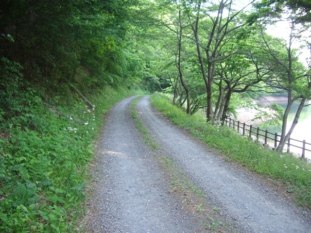 ダムの周りの町道