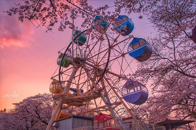 千手山公園全景