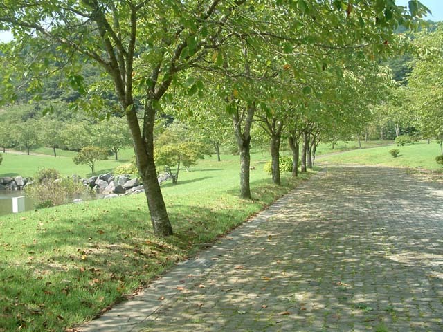 つがの里園路。