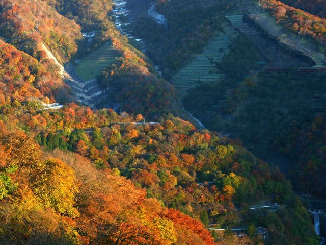 いろは坂を望む