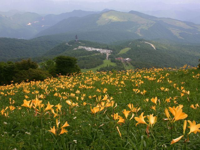 霧降高原