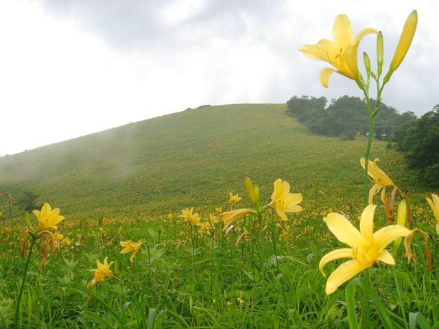 霧降高原