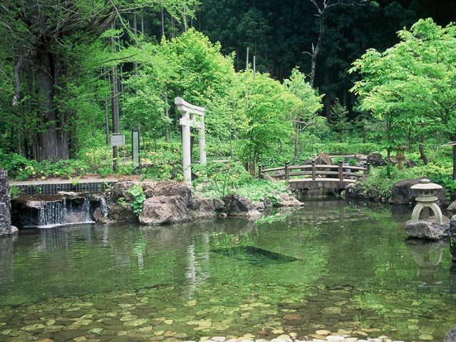 植物園