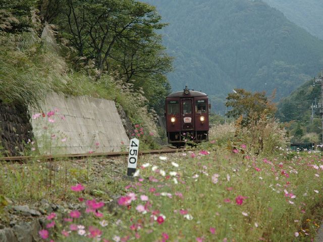 秋の風景