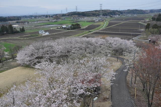 展望台からの眺め