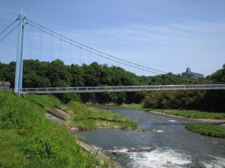 大金吊り橋